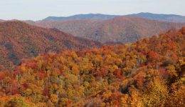 GSMNP+NC-min GSMNP+NC-min