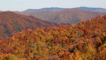GSMNP+NC-min
