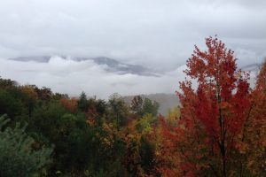 IMG_2970-min