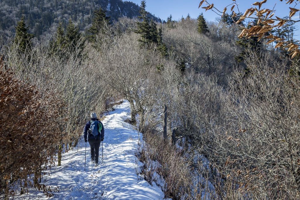 Winter Hiking in the Smoky Mountains Smoky Mountain Guides