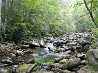 Stream+Elkmont