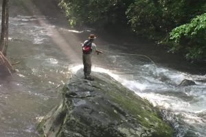 smokymountainguides.com-fishing_tour_03-50