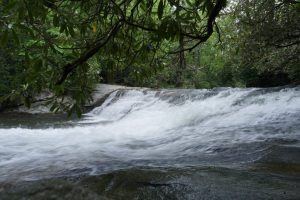 smokymountainguides.com-fishing_tour_04-50