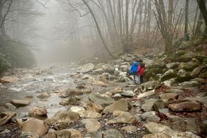 smokymountainguides.com-kids_scavenger_hunt