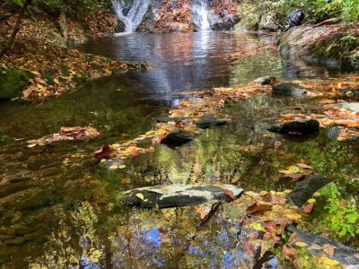 smokymountainguides.com-fly-fishing-105 smokymountainguides.com-fly-fishing-105