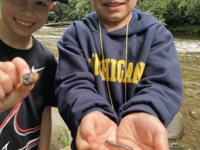 smoky-mountains-fall-foliage-tour-overlook smoky-mountains-fall-foliage-tour-overlook