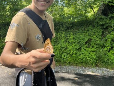 smoky-mountains-synchronous-firefly-tour smoky-mountains-synchronous-firefly-tour